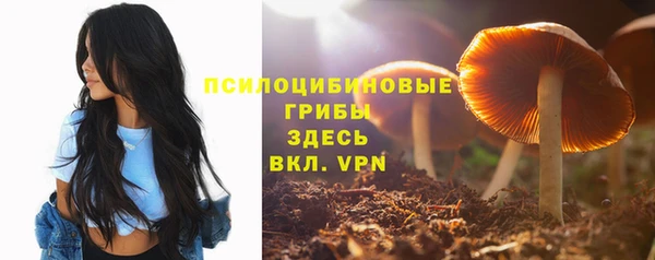 прущие крисы Приозерск
