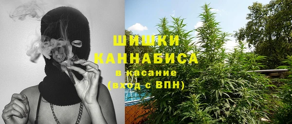 гидра Протвино