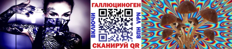 где можно купить   Ханты-Мансийск  Галлюциногенные грибы мухоморы 