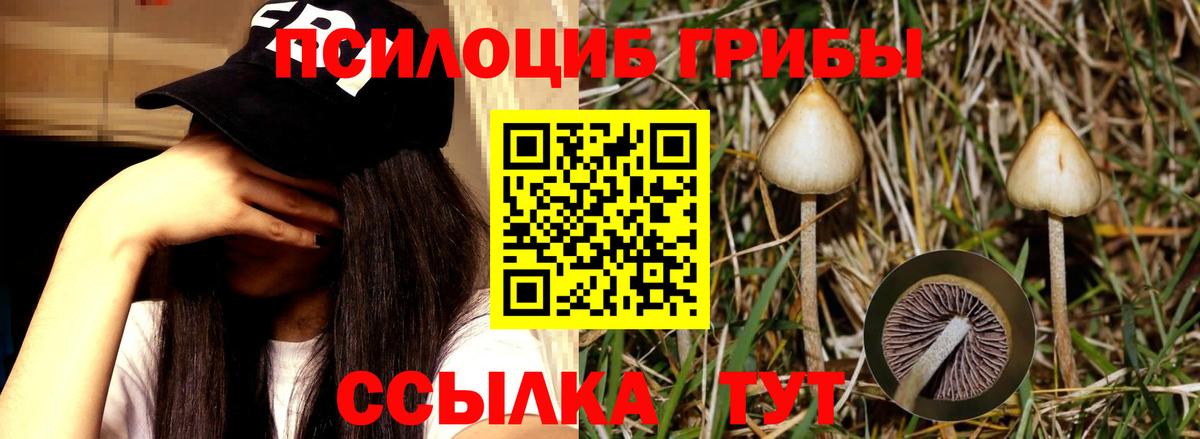 Псилоцибиновые грибы мицелий  Вход с VPN  Ханты-Мансийск 
